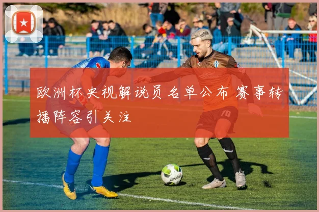 欧洲杯央视解说员名单公布 赛事转播阵容引关注