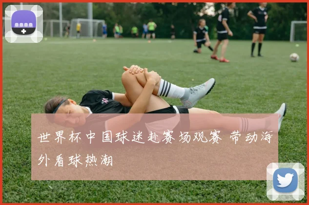 世界杯中国球迷赴赛场观赛 带动海外看球热潮