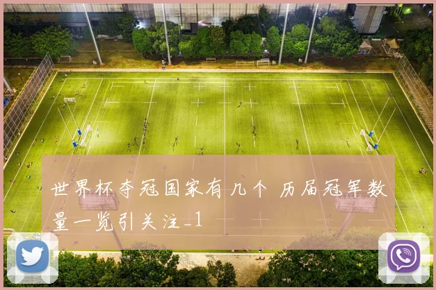世界杯夺冠国家有几个 历届冠军数量一览引关注_1