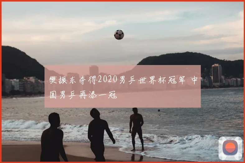 樊振东夺得2020男乒世界杯冠军 中国男乒再添一冠