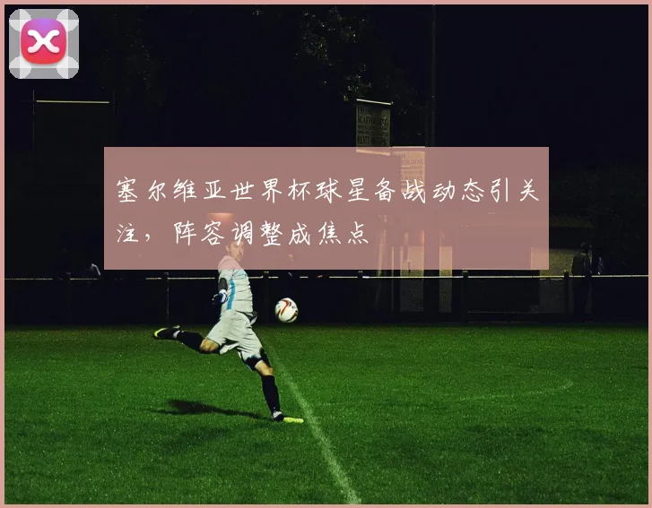 塞尔维亚世界杯球星备战动态引关注,阵容调整成焦点