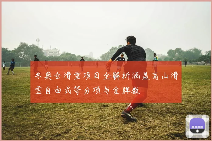 冬奥会滑雪项目全解析涵盖高山滑雪自由式等分项与金牌数
