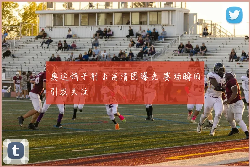 奥运鸽子射击高清图曝光 赛场瞬间引发关注