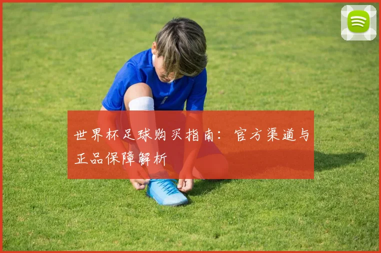 世界杯足球购买指南:官方渠道与正品保障解析