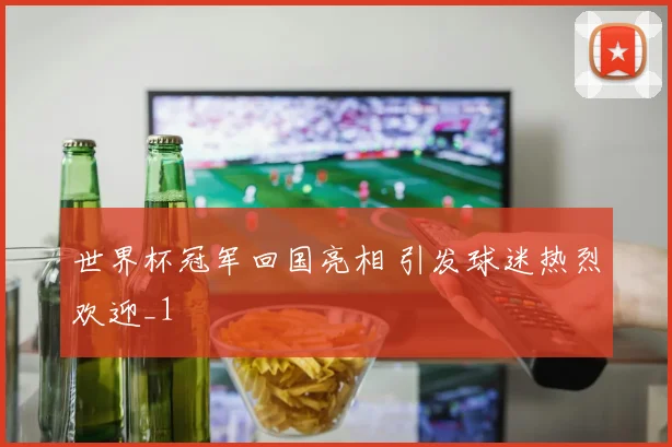 世界杯冠军回国亮相 引发球迷热烈欢迎_1