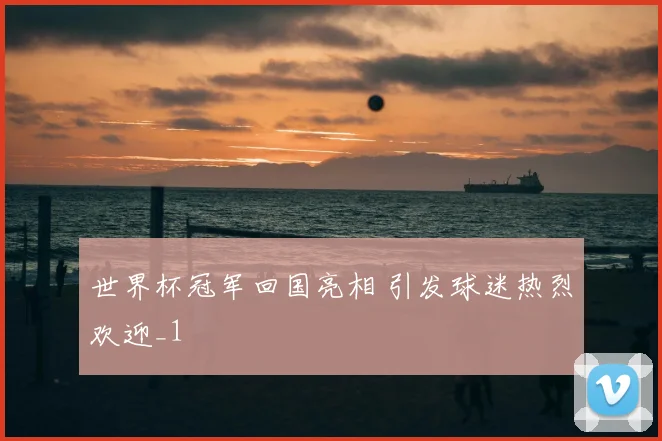 世界杯冠军回国亮相 引发球迷热烈欢迎_1